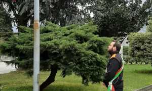 WhatsApp Image 2020 03 31 at 17.20.57