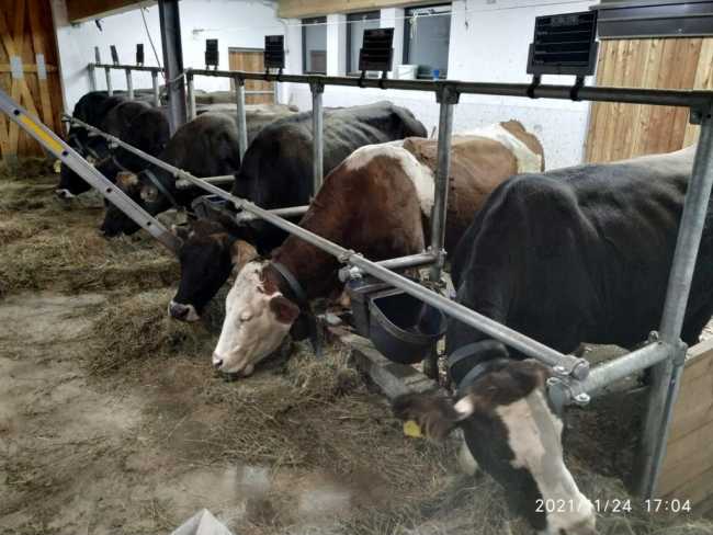 WhatsApp Image 2021 11 26 at 08.15.06