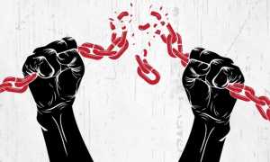 WhatsApp Image 2021 12 14 at 08.16.01