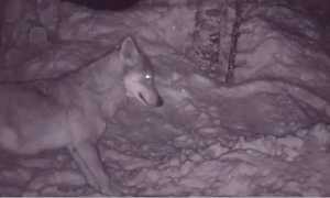 WhatsApp Image 2021 12 16 at 08.42.54