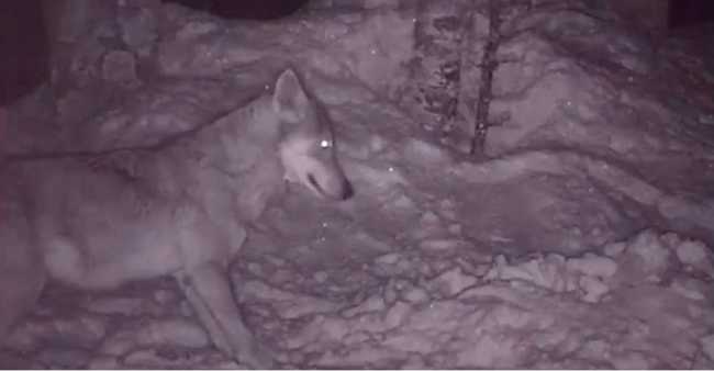 WhatsApp Image 2021 12 16 at 08.42.54