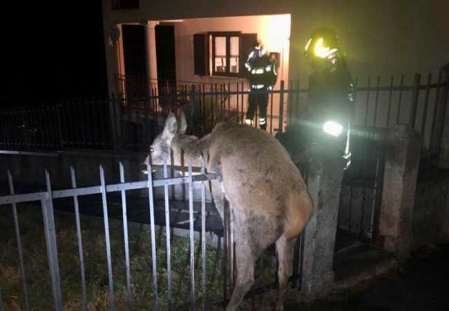 WhatsApp Image 2022 02 07 at 08.10.472