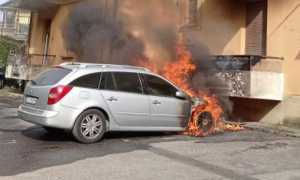 WhatsApp Image 2022 03 14 at 17.43.191