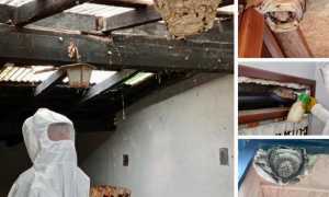 WhatsApp Image 2022 05 30 at 11.10.03