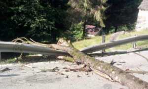 WhatsApp Image 2022 06 23 at 10.15.44