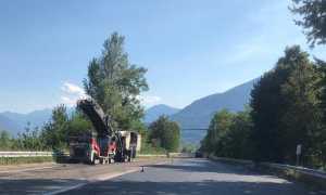 WhatsApp Image 2022 08 02 at 19.07.45