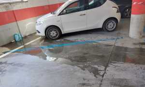 WhatsApp Image 2022 08 06 at 14.06.11