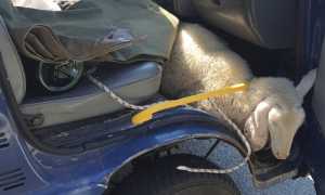 WhatsApp Image 2022 09 20 at 12.36.33