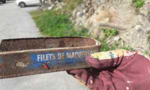 WhatsApp Image 2022 10 10 at 08.00.57