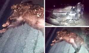 WhatsApp Image 2023 01 13 at 09.48.47