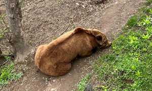 WhatsApp Image 2023 05 09 at 10.38.12