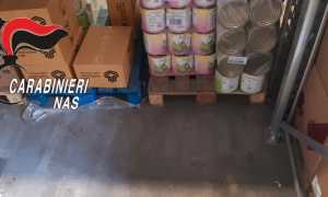 WhatsApp Image 2023 07 15 at 08.23.02