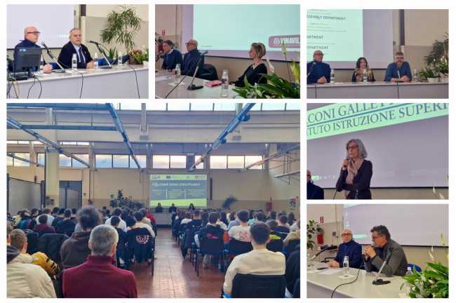 WhatsApp Image 2024 03 13 at 16.26.45