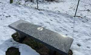 WhatsApp Image 2024 03 14 at 16.16.25