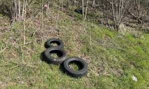 WhatsApp Image 2024 03 14 at 16.16.55