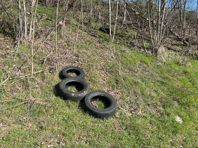 WhatsApp Image 2024 03 14 at 16.16.55