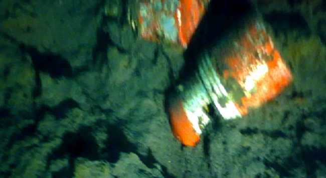 WhatsApp Image 2024 03 15 at 14.30.52