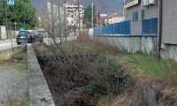 WhatsApp Image 2024 03 15 at 16.41.35