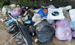 WhatsApp Image 2024 06 26 at 15.49.55