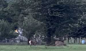 WhatsApp Image 2024 06 28 at 10.18.39