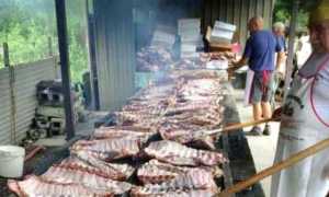 WhatsApp Image 2024 07 05 at 09.04.45