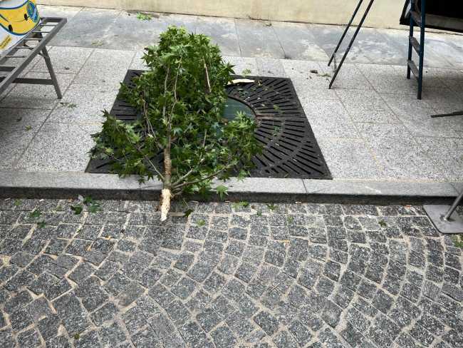 WhatsApp Image 2024 07 06 at 09.15.29