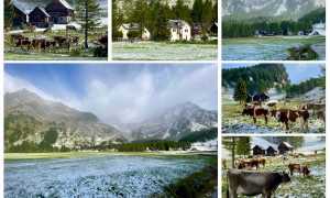 WhatsApp Image 2024 09 13 at 11.17.53