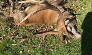 WhatsApp Image 2024 10 29 at 15.48.501