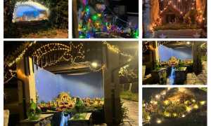 WhatsApp Image 2024 12 30 at 16.13.15