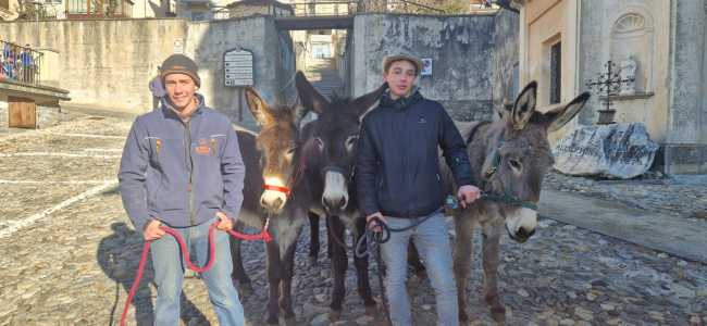 WhatsApp Image 2025 01 17 at 16.09.53