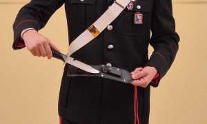 WhatsApp Image 2025 01 23 at 11.49.57 copia