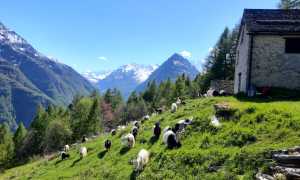 WhatsApp Image 2025 05 21 at 07.28.24