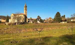 abelegruppo