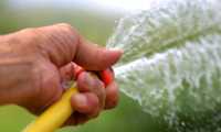 acqua annaffia
