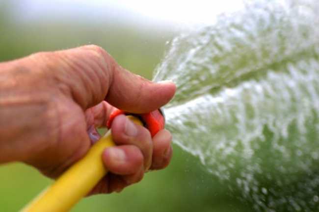 acqua annaffia