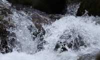 acqua
