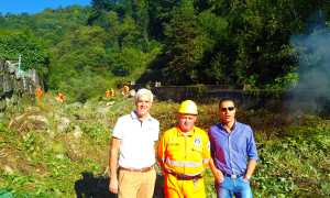 aib domo cuffaro pizzi falciola