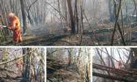 aib mix biella incendio bosco