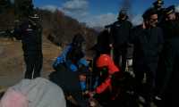 alberi mottarone 1