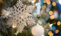 albero fiocco neve