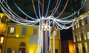 albero natale domo 2015