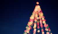 albero natale luci