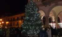 albero natale omegna