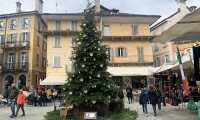 albero natale piazza mercato 21