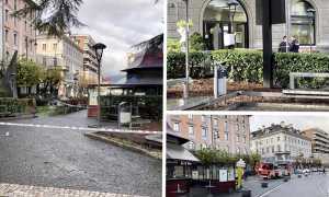 albero piazza stazionemix