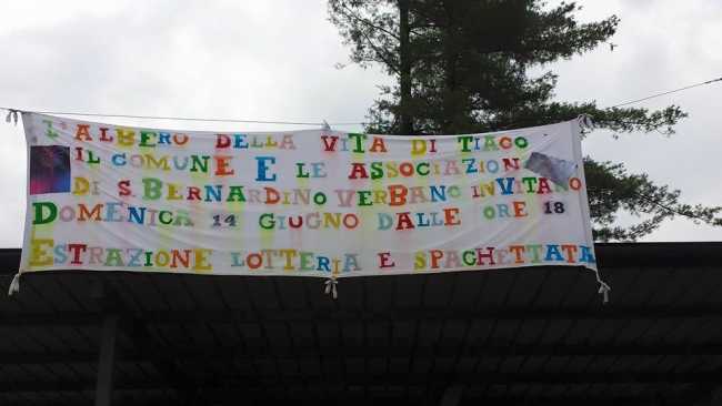 albero tiago s b verbano 2015