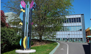 alessi onegna entrata