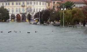 alluvione 2014 vco