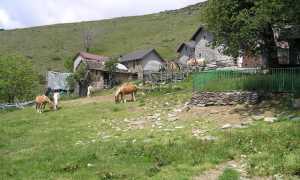 alpe biogna