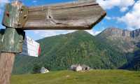alpe cedo 2 copy 